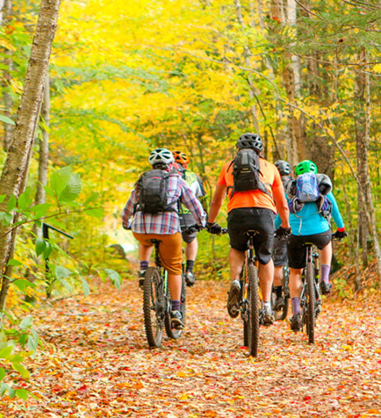 Biking Guided Tours Forest Trails Mont Tremblant Activity Centre