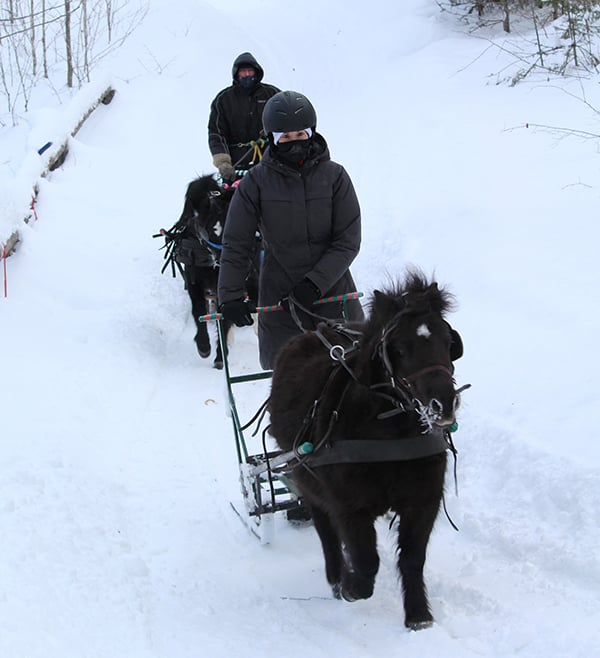 Horse Sledding Mont Tremblant Mont Tremblant