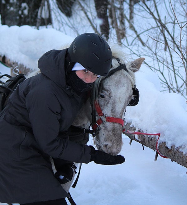 Horse Sledding Mont Tremblant Mont Tremblant