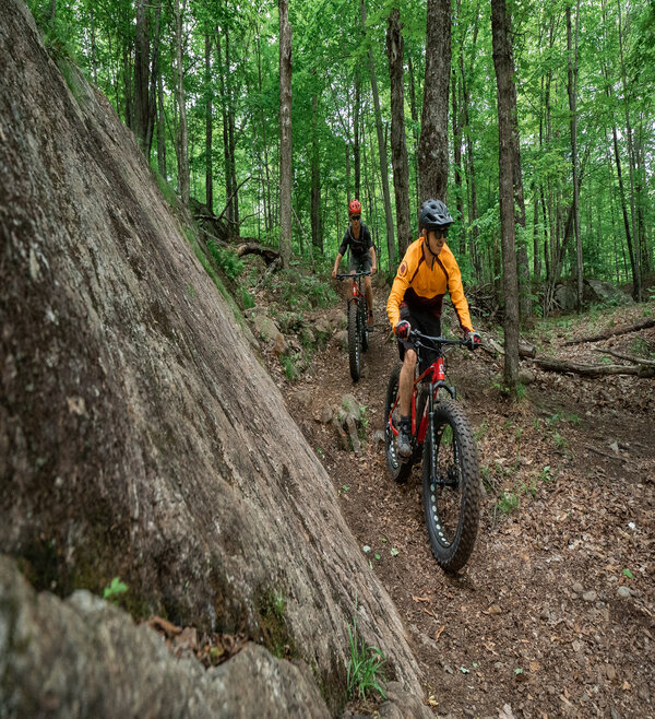 Biking Guided Tours – E-fatbike Forest Discovery (2h) - Mont